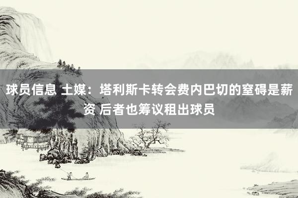 球员信息 土媒：塔利斯卡转会费内巴切的窒碍是薪资 后者也筹议租出球员