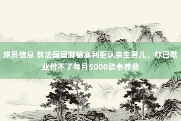 球员信息 前法国国脚德塞利拒认亲生男儿，称已歇业付不了每月5000欧奉养费