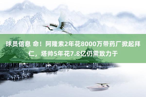 球员信息 命！阿隆索2年花8000万带药厂掀起拜仁，塔帅5年花7.8亿仍需致力于