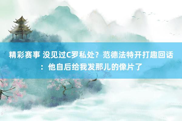 精彩赛事 没见过C罗私处？范德法特开打趣回话：他自后给我发那儿的像片了