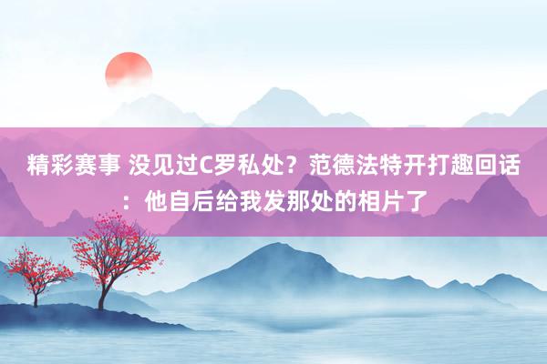 精彩赛事 没见过C罗私处？范德法特开打趣回话：他自后给我发那处的相片了