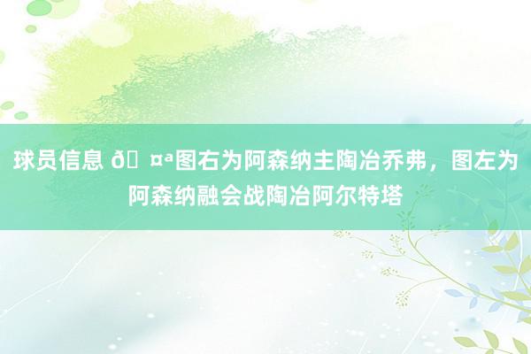 球员信息 🤪图右为阿森纳主陶冶乔弗，图左为阿森纳融会战陶冶阿尔特塔