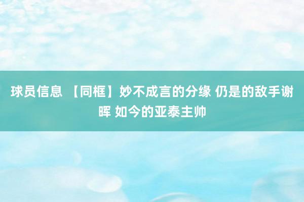 球员信息 【同框】妙不成言的分缘 仍是的敌手谢晖 如今的亚泰主帅