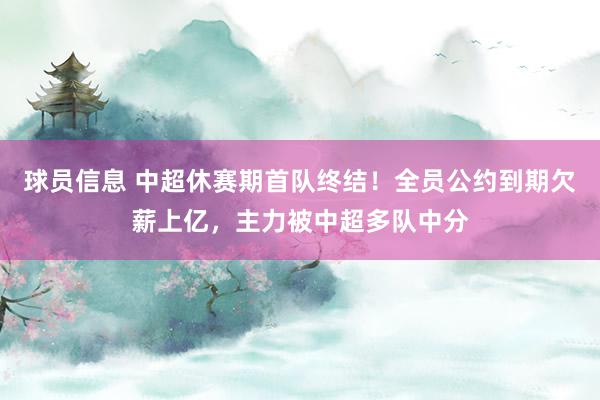 球员信息 中超休赛期首队终结！全员公约到期欠薪上亿，主力被中超多队中分