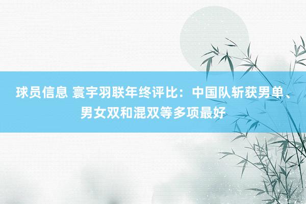 球员信息 寰宇羽联年终评比：中国队斩获男单、男女双和混双等多项最好