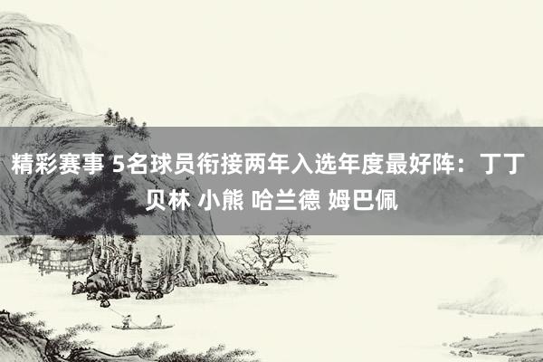 精彩赛事 5名球员衔接两年入选年度最好阵：丁丁 贝林 小熊 哈兰德 姆巴佩